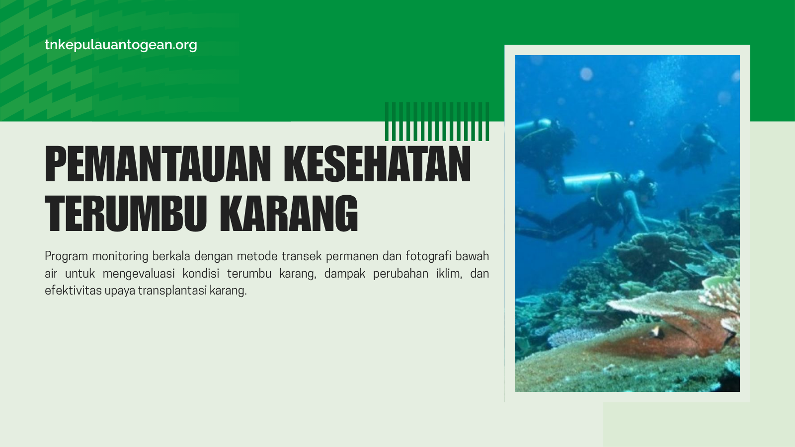 Pemantauan Kesehatan Terumbu Karang