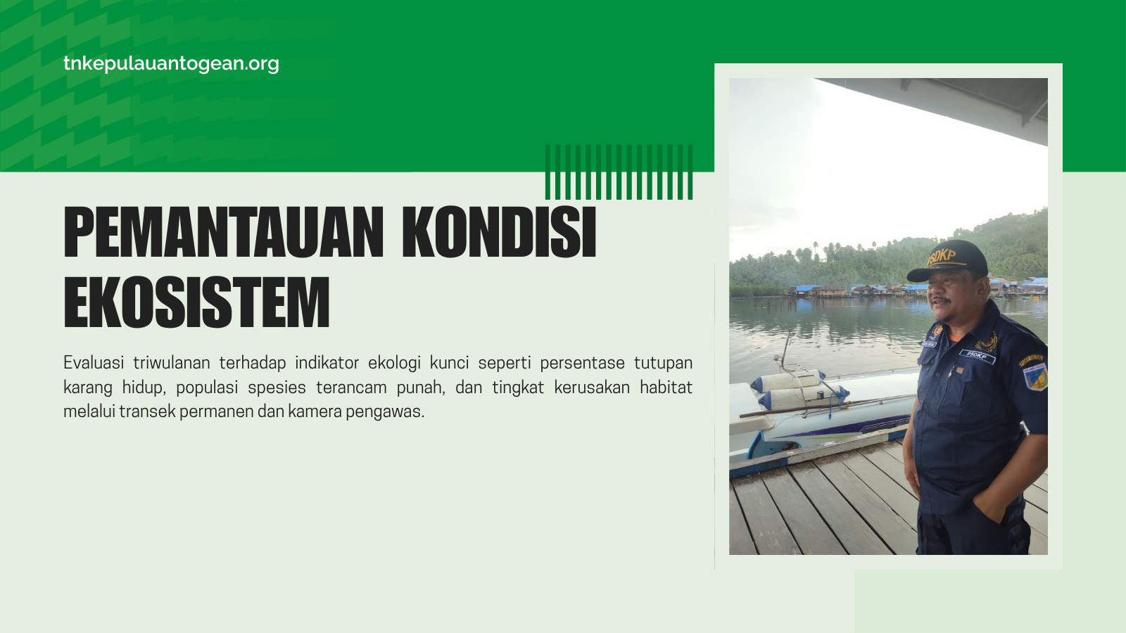 Pemantauan Kondisi Ekosistem