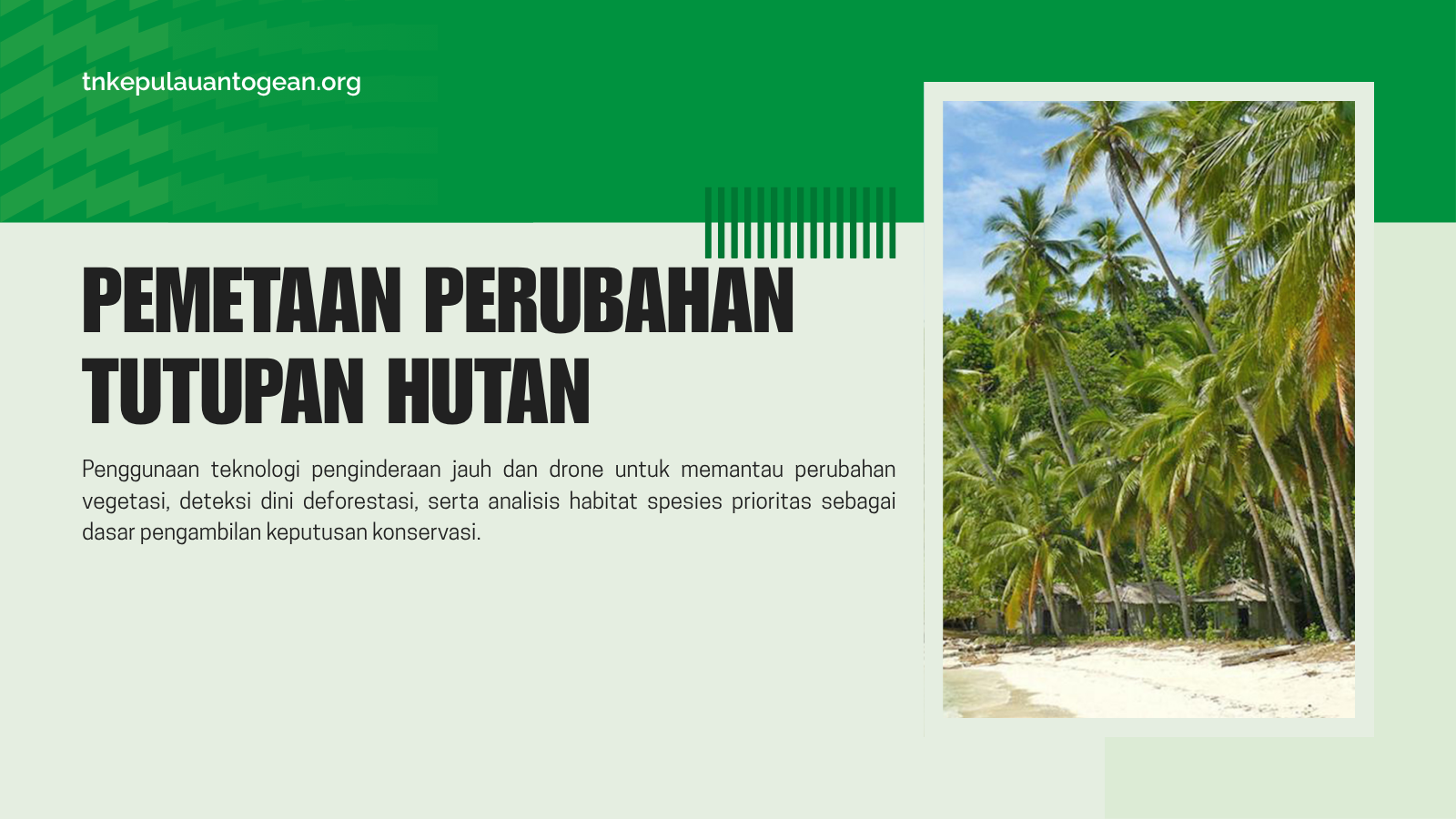 Pemetaan Perubahan Tutupan Hutan