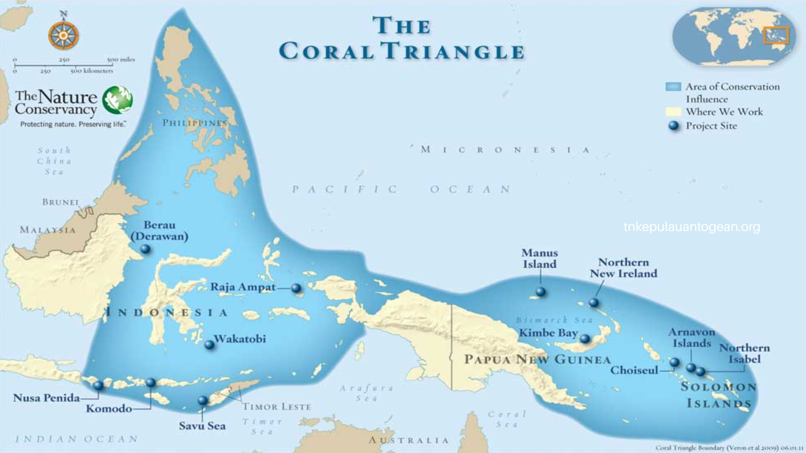 Jantung Coral Triangle Dunia