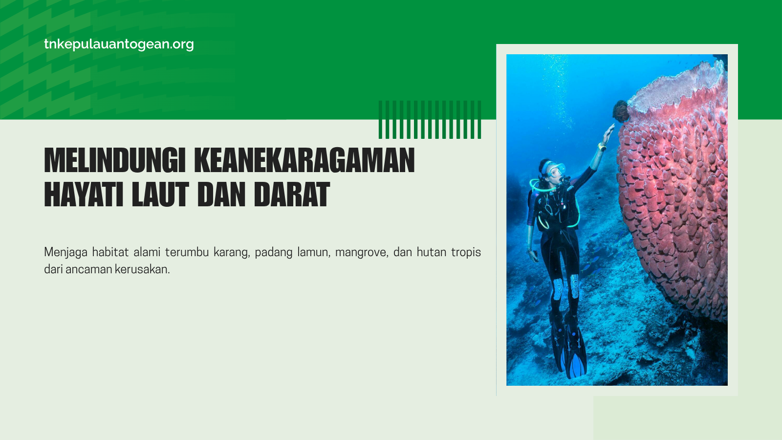 Melindungi Keanekaragaman Hayati Laut dan Darat