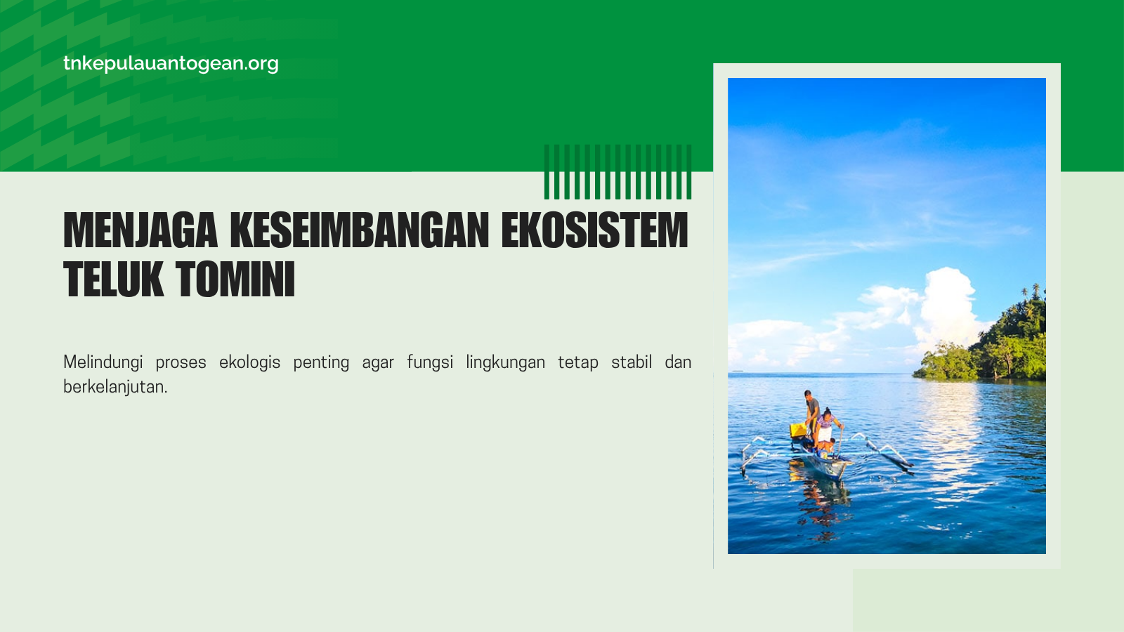 Menjaga Keseimbangan Ekosistem Teluk Tomini