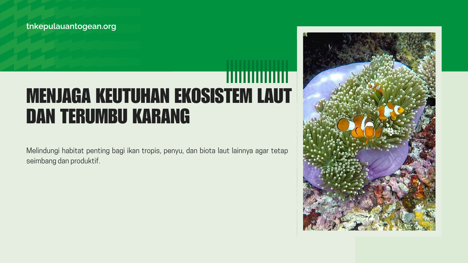 Menjaga Keutuhan Ekosistem Laut dan Terumbu Karang