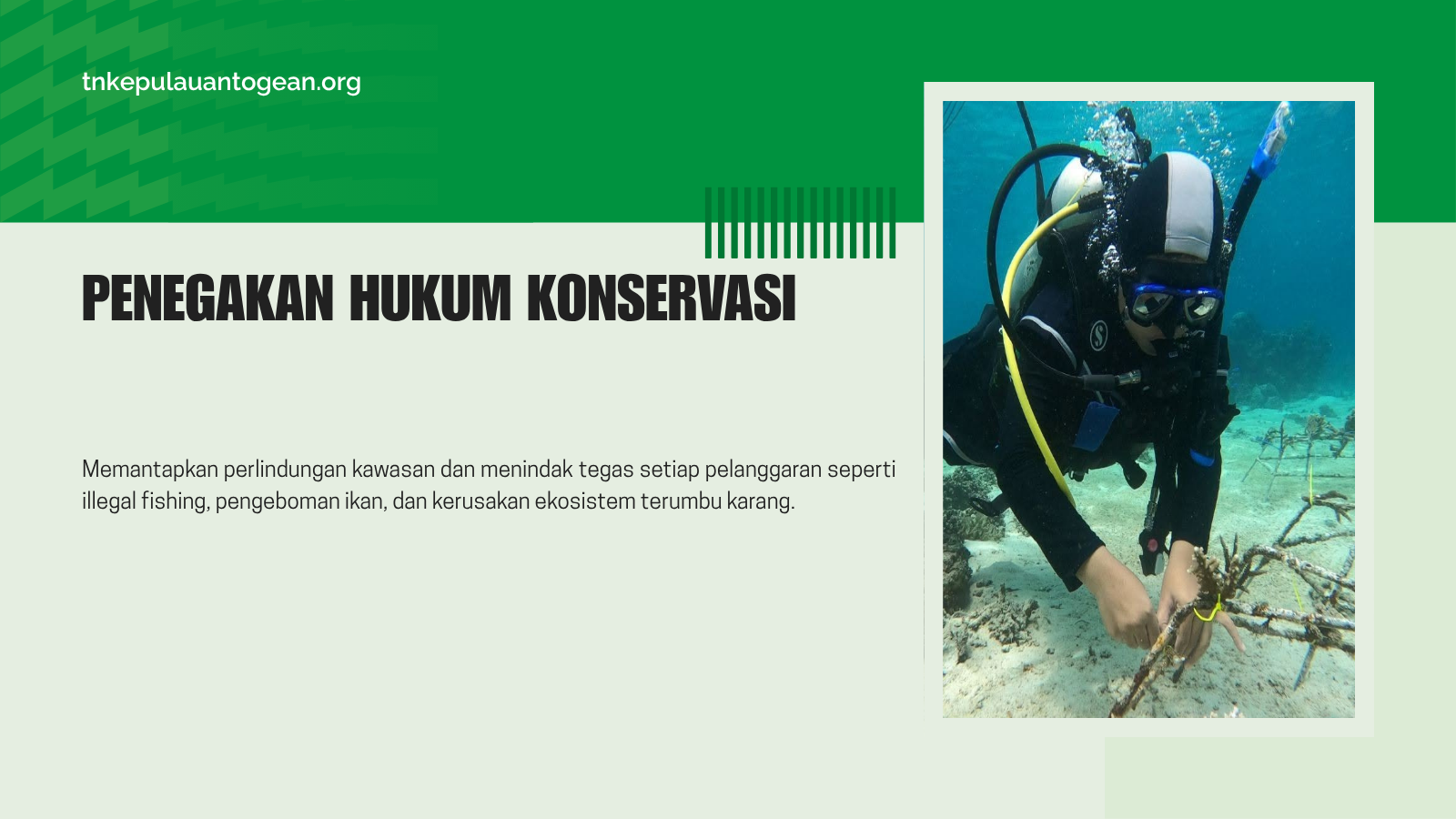 Penegakan Hukum Konservasi