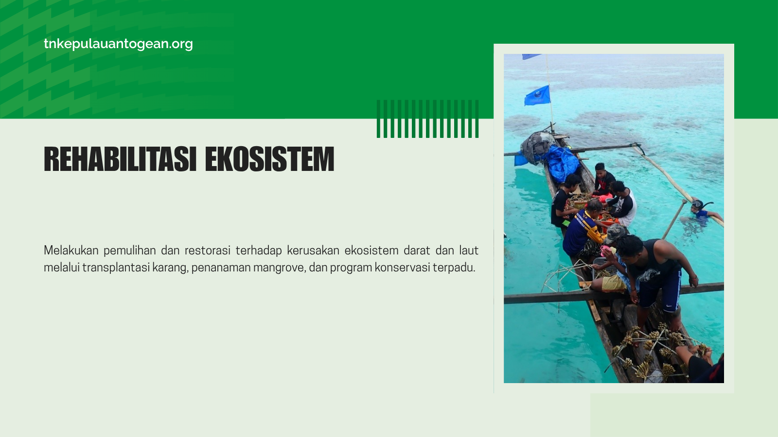 Rehabilitasi Ekosistem