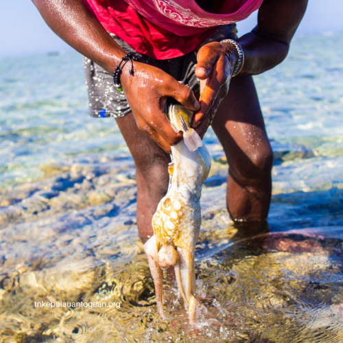 Inovasi dalam Pengelolaan Taman Nasional Laut