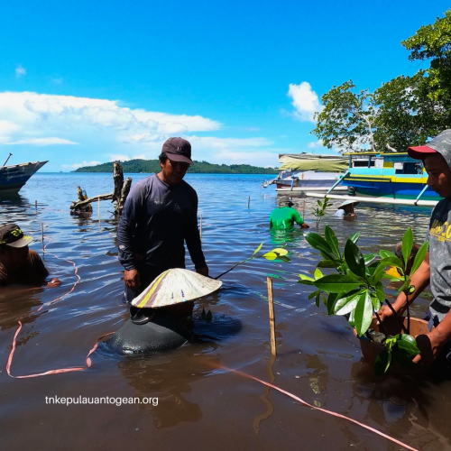 Strategi Pengelolaan Jangka Panjang